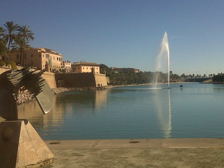 Palma-20131216-00312