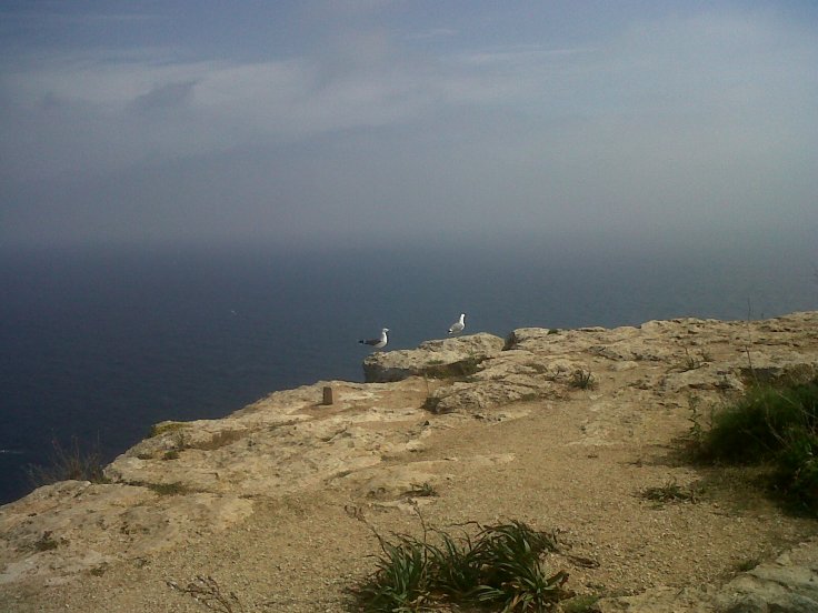 Hanging over the cliff