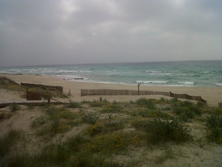 Wind Swept Beaches !