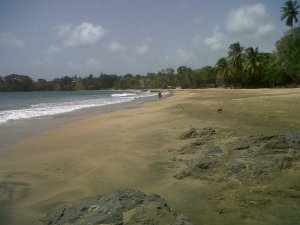 Lovely, empty beaches in Tobago!