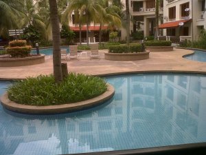 View from my terrace!!!