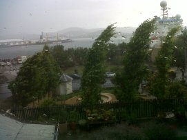 Storm from my window!