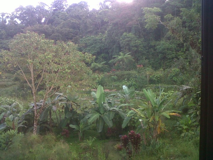 More beauty in the Mountains !