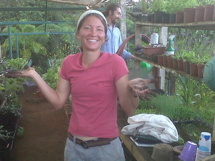 Vegetable and herb garden at Satyuga institute!