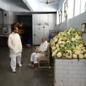 Guarding the Cauliflower!!