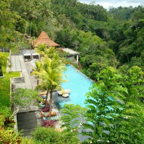 Beautiful resort called Jungle Fish in the Jungle!